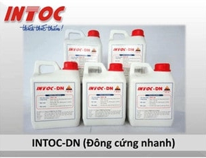 Chống thấm INTOC DN